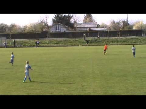 Suchary Suchy Las 2 0 Patria Buk 11 4 2014