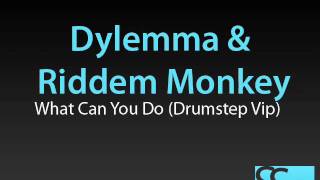 Dylemma & Riddem Monkey - What Can You Do