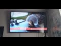 Bolt 2009 UK DVD Menu Walkthrough