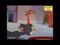 Tom And Jerry Kiswahili 2025