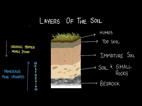 Layer of soil and its formation | Middle school science | Khan Academy