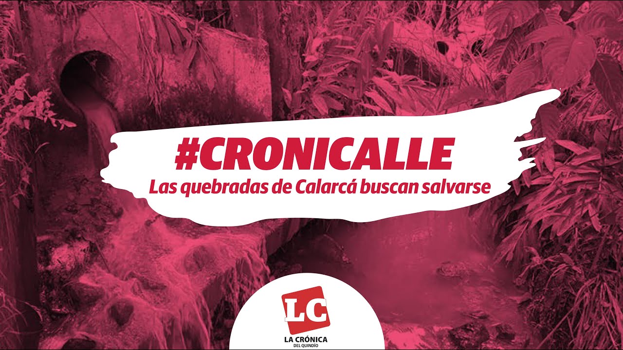 #Cronicalle | Las quebradas de Calarcá buscan salvarse