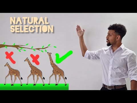 Science Raps: GCSE Biology - Evolution
