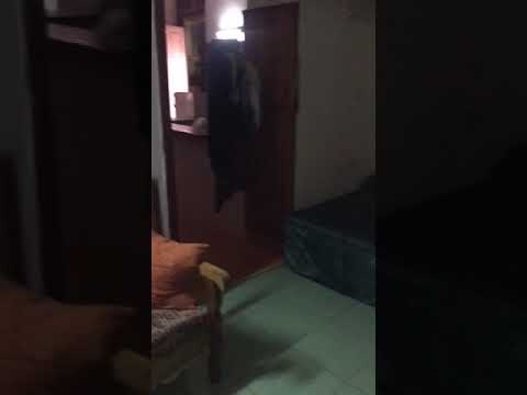 Casa mimi/ Casa rosa Havanna zentrum, mieten, Casa particular, rent room, Ferienwohnung in Havanna