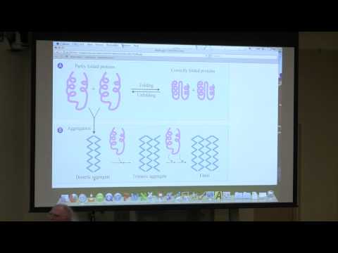 #7 BB 350 Protein 3D Structure III / Protein Purification I - Kevin Ahern's Biochemistry Online