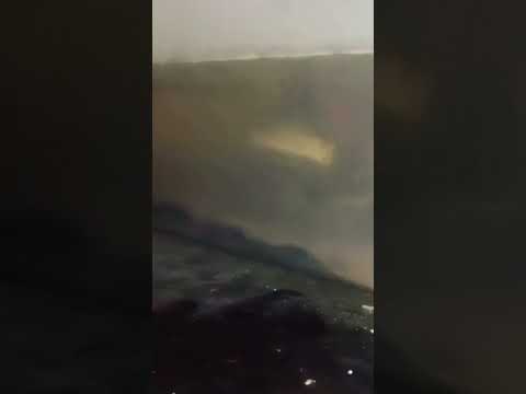 rare and carnivorous fish#shorts#youtube#youtubeshorts#attitude #slowedandreverb#beats #music#song