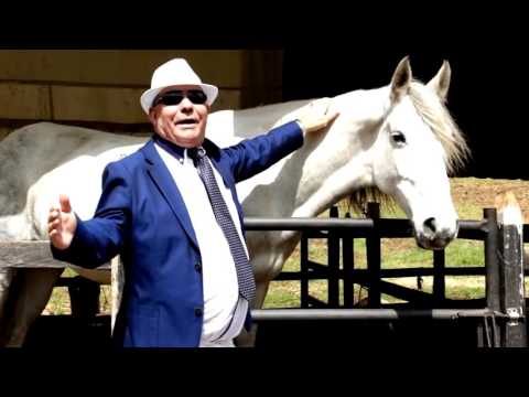 EL CABALLO BLANCO - RAMÓN CALVO-DIRECTOR-JAIRO OSPINA GUEVARA