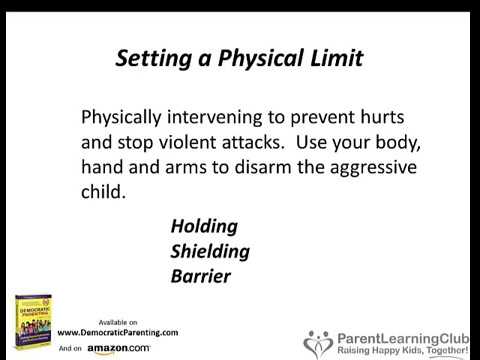 Child Behavior Solutions Webinar:  Overcoming Anger, Aggression and Violence in Kids