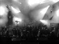 The Cure - Signal to Noise (Festival 2005)