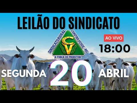 Leilão Sindicato Rural Campina Verde - 20 de Abril 2026
