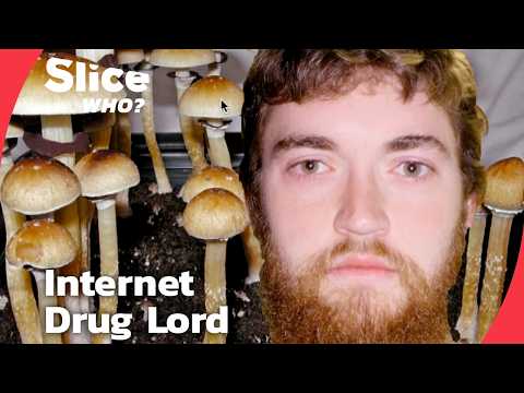 Documentary on Ross Ulbricht and the Silk Road darknet market