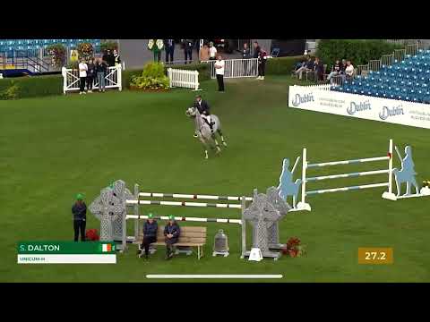 Unicum-H- 2020 Stallion (President x Cicero z van Paemel)