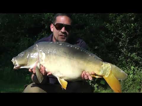 Way back in the summer on the syndicate