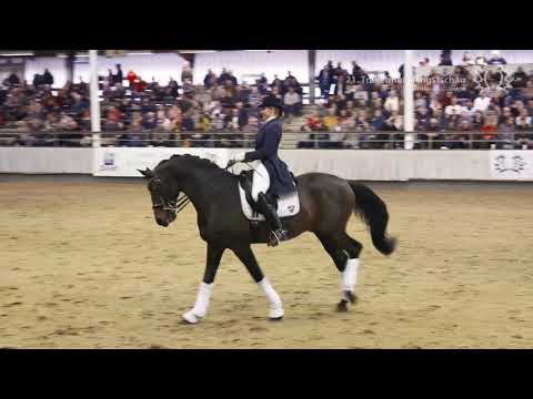 Kentucky Staffelde 2019