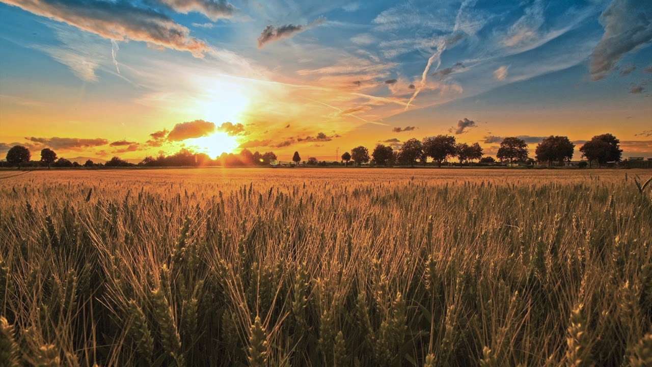 Dorota Szczepanska Video