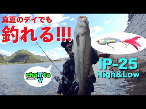 COREMAN IP-25 HIGH&LOW"で４日振りのシーバス!!! 編【ちゃったTVコラボ】