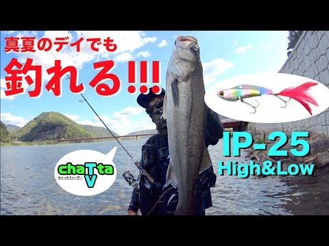 COREMAN IP-25 HIGH&LOW" catches sea bass for the first time in 4 days!!! Edition [Chatta TV colla...