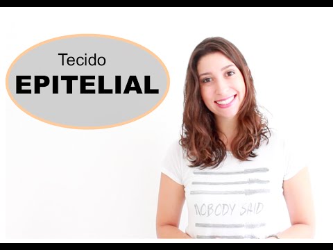 Histologia 2/9: Tecido Epitelial. Videoaula| Anatomia e etc.