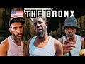 100 Hotel In Deadly Bronx Zombie Hood NYC