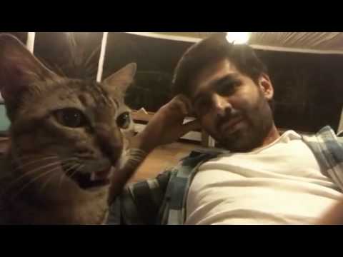 Kartik Aaryan Playing With Her Cute Cat So Beautifully