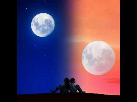 Aqua Timez　『Cranberry Jam』