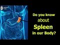 What is Spleen? Causes, Signs, Symptoms of enlarged spleen - Dr. Ravindra B S