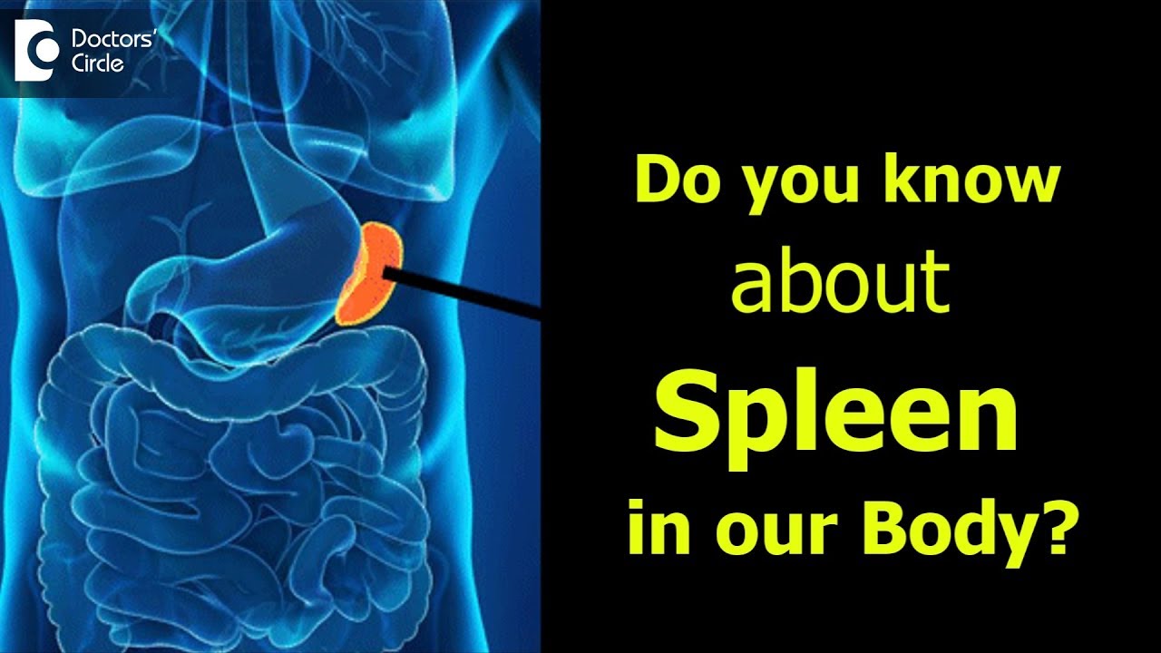 What causes spleen granulomas? More REF