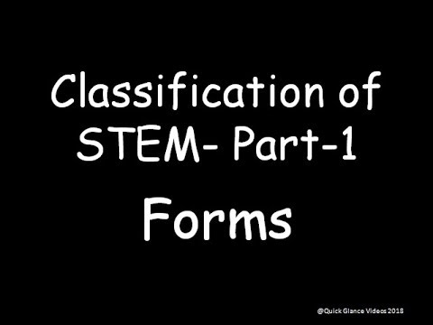 Classification of Stem Part -1 On the basis of Forms of stem - YouTube