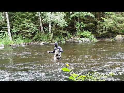 Perhokalastuksen alkeet