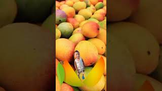 Download lagu TRENDING MANGO#funny #shorts #reels #video #viralshorts #tiktok #shortvideo mp3 Download lagu TRENDING MANGO#funny #shorts #reels #video #viralshorts #tiktok #shortvideo mp3