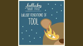 10,000 Days (Wings, Pt. 2)