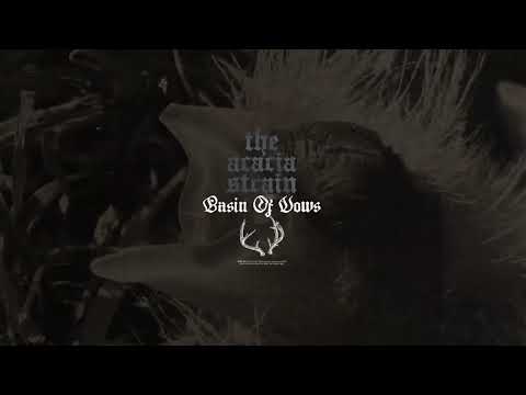 Video thumbnail for basin of vows