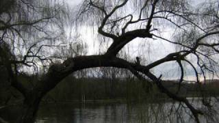 Celestial Season - Together in solitude