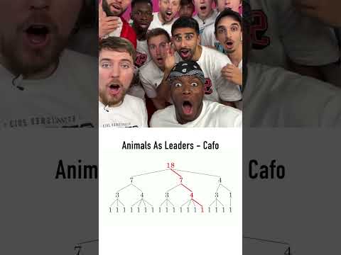 My reaction when I understand the rhythm of Cafo by Animals As Leaders 🤪