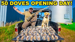 LIMITED OUT Dove Hunting OPENING DAY!!! (Catch Clean Cook)