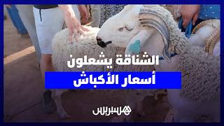 موجة الحرارة تفرغ أسواق الأضاحي و”الشناقة” يلهبون الأسعار thumbnail