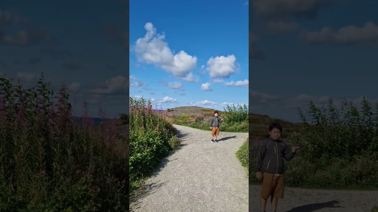 YouTube Short thumbnail