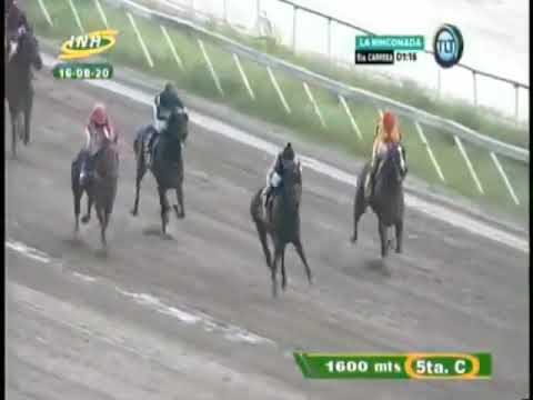 Resumen La Rinconada - Domingo 16 de Agosto 2020