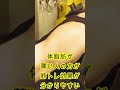 体脂肪が薄い人が筋トレ効果がでやすいという事実 Tバーロウで追いこむ!#shorts #筋トレ #ダイエット