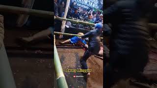 Download lagu Awaasss minggirrr bolo Iki jarane ganas polll #jathilankeren #turonggogirikondang #jathilanndadi#tgk mp3 Download lagu Awaasss minggirrr bolo Iki jarane ganas polll #jathilankeren #turonggogirikondang #jathilanndadi#tgk mp3