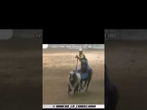 Freddy borrego (latigazo)