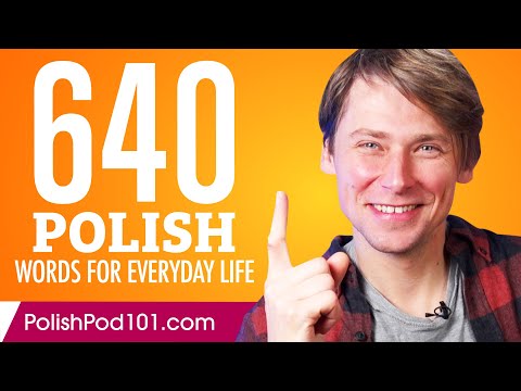640 Polish Words for Everyday Life - Basic Vocabulary #32
