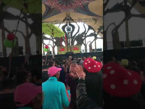 Hydra-E - Boom Festival 2018 dancetemple