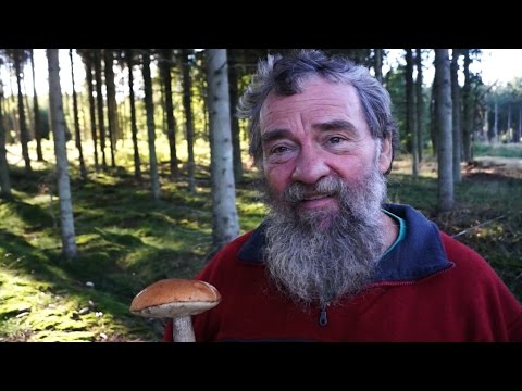 Svampeekspert Sten Larris/ Anmeldelse Sæsonen 2014/ Djursland/