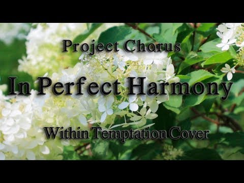 Project Chorus - In Perfect Harmony (Within Temptation Cover)