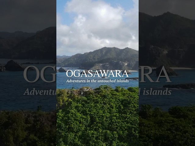 Vídeo relacionado con World Natural Heritage Ogasawara Islands: Into the Bonin Blue (Sphere Digital Books) (Japanese Edition)