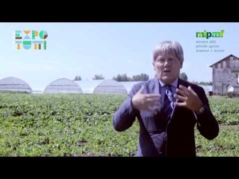 Medicine di uno spettro largo di attività da vermi alla persona I parassiti in un fegato della persona che il dottore rivolgersi