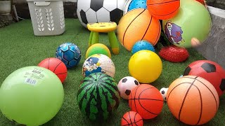 Download lagu Lempar Lempar Bola - Bola Warna Warni - Bola Semangka mp3 Download lagu Lempar Lempar Bola - Bola Warna Warni - Bola Semangka mp3