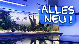 THE NEW AQUARIUM | EVERYTHING NEW AFTER THE MOVE | Aqua Update