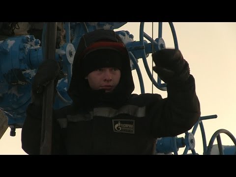 Трейлер